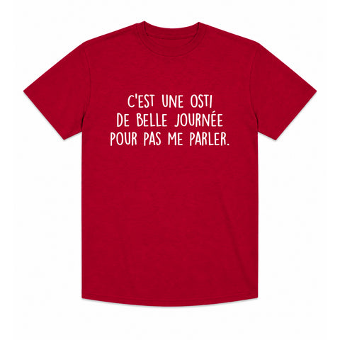 3XL - T-shirt Unisexe col rond rouge cendré - C'est une osti de belle journée pour pas me parler