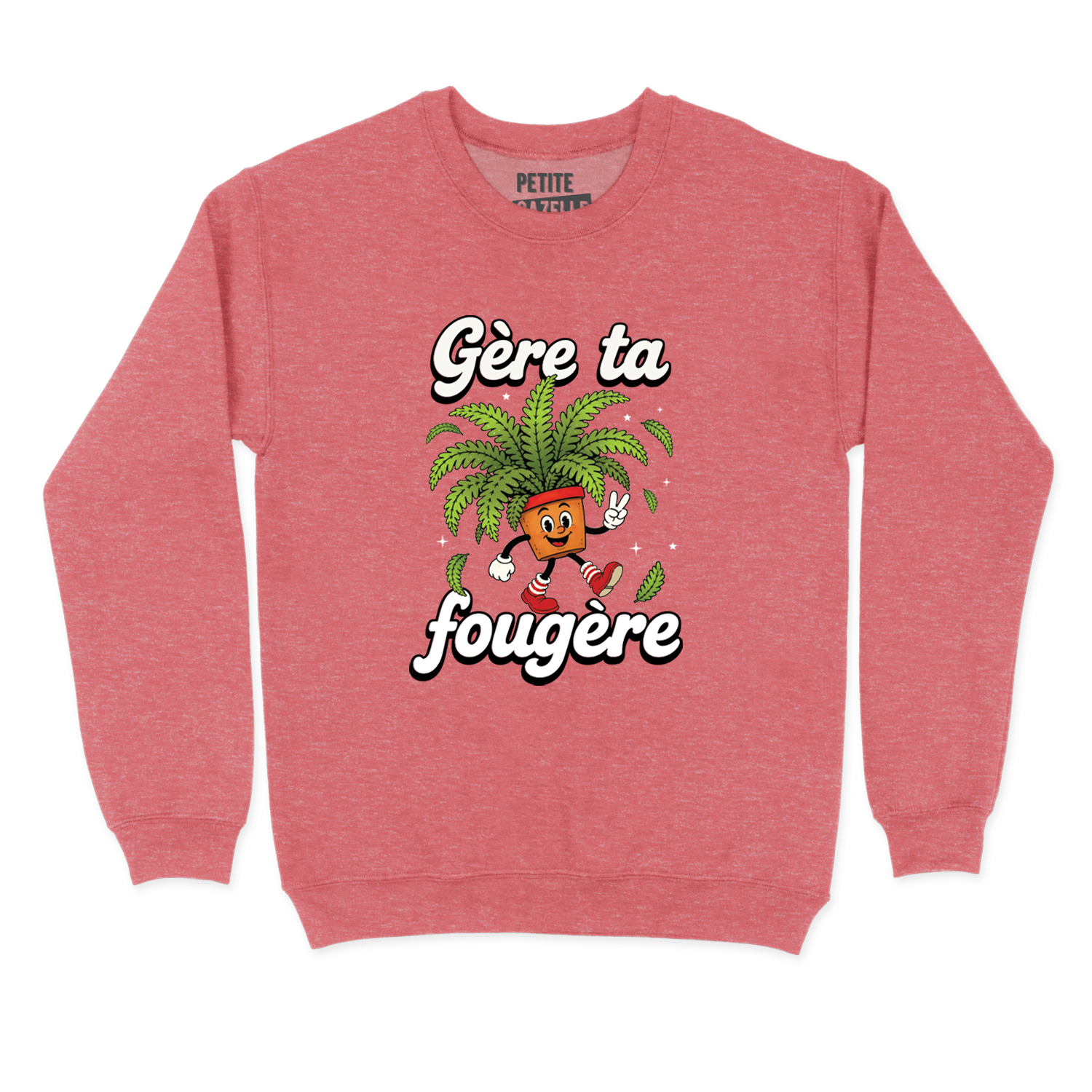 COTON OUATÉ | Gère ta fougère