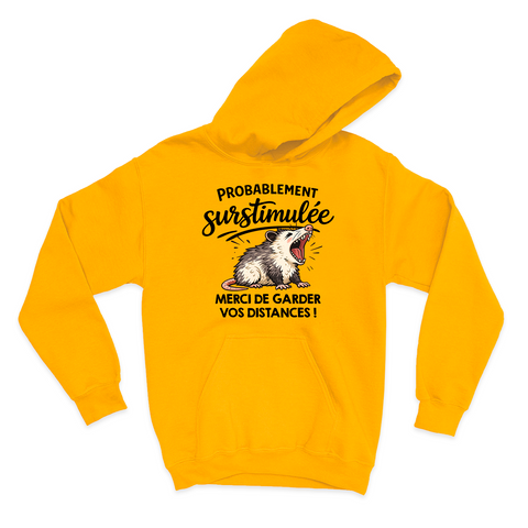 HOODIE | Probablement surstimulée