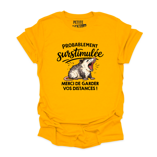 T-SHIRT COL ROND | Probablement surstimulée